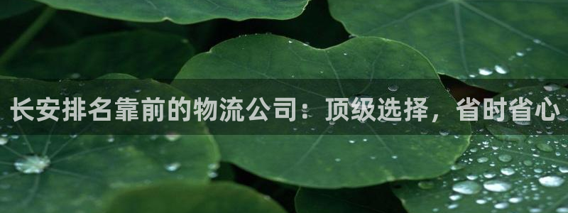 麻将128圈：长安排名靠前的物流公司