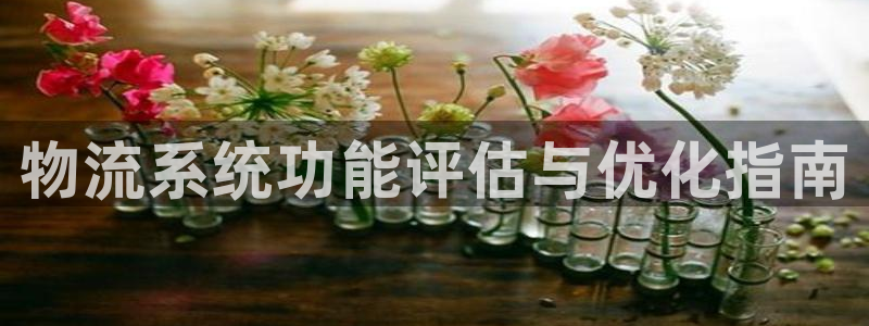 28圈网站怎么注册：物流系统功能评估