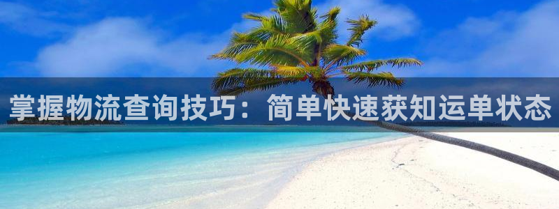 28圈模拟器在线玩：掌握物流查询技巧