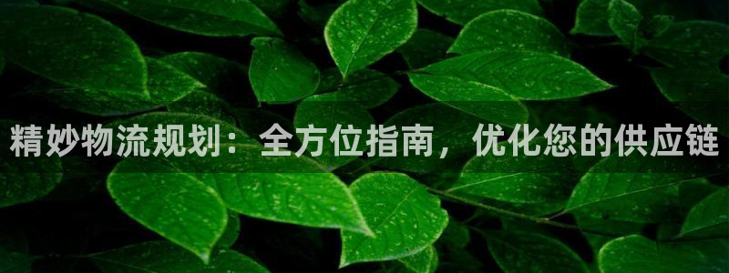 28圈网站平台：精妙物流规划：全方位