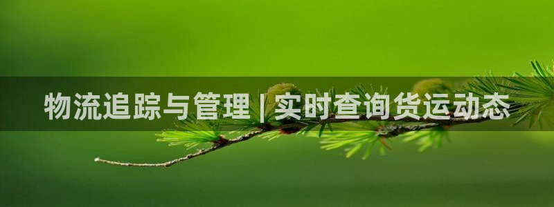 28圈登录用户名登录不上：物流追踪与